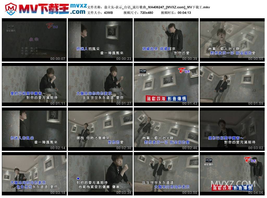 翁立友-表示_台语_流行歌曲_MA406247